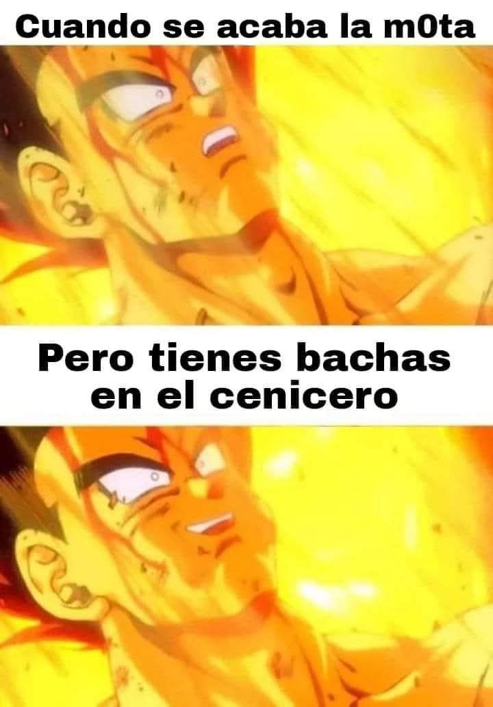 Charly Grown (@charlygrown) on Twitter photo 