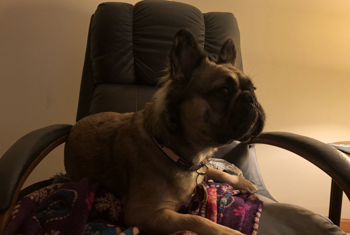 Diesel is enjoying “Bad Moon” immensely. #TheLastDriveIn #BadMoon