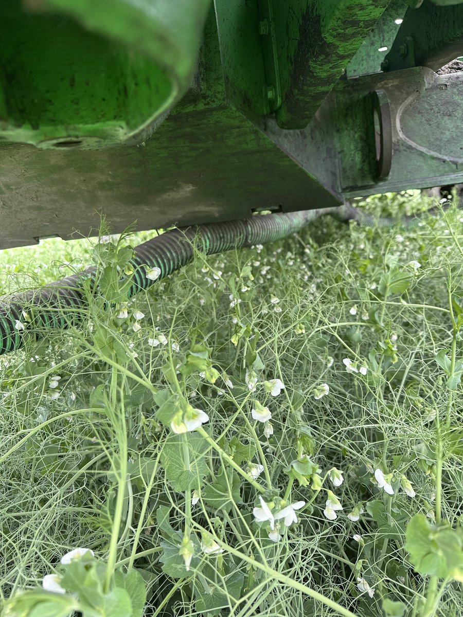 Drew Cardy tweet media