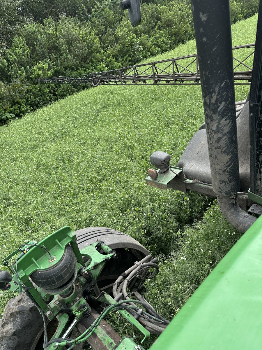 Drew Cardy tweet media