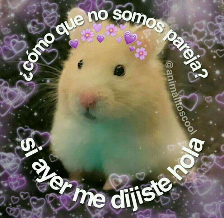 Hecdreys's tweet photo. Como? https://t.co/Dg8lYg9nfb