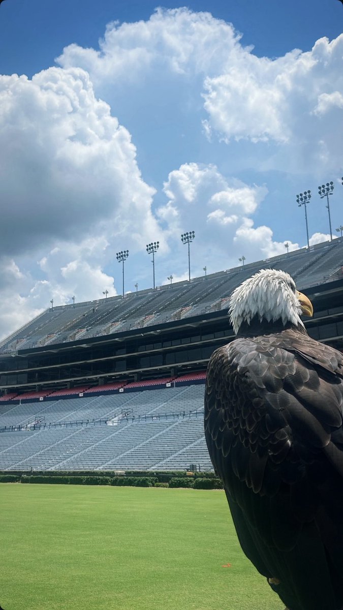 🔜

📸 IG/mags.evans99