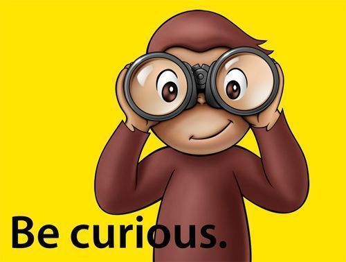 Be curious, not judgmental. ~ Walt Whitman