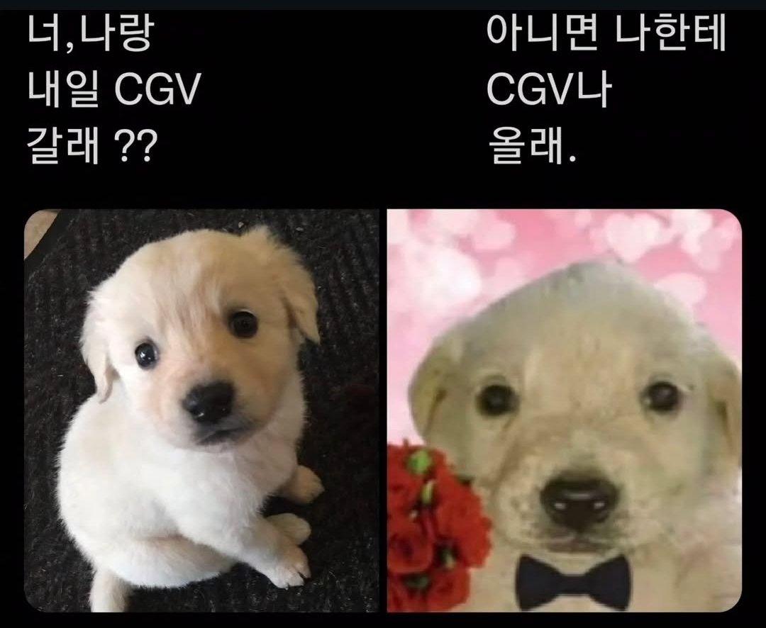 별 의미 없고요
그냥 귀여워서 가져왔습니다.