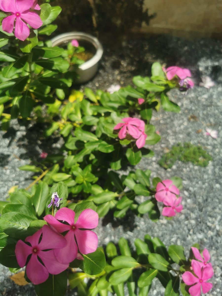 🥰 จิบกาแฟ​ ชมสวน​ มีความสุขกับชีวิตกันครับ​ 😍

<a href="/Unclemun/">ลุงมันส์</a> <a href="/fookkub/">P.T</a> <a href="/Aiwan9999/">I Bang🐈‍⬛</a> <a href="/Kea_New/">K. Sakhulhong 💛🇹🇭💛 #รักกรมสมเด็จพระเทพฯ 💜💜</a> <a href="/nenanee/">Thitinun</a> <a href="/R_Joom_Ma/">R-Joom-Ma</a> <a href="/apad63/">🦅 เทียนจุนวิเศษกาลนาน A Pad 🇹🇭</a> <a href="/aunarisk/">Aunarisk 𝕏 - ตัวร้ายในเรื่องเล่า🌻</a> <a href="/BooK_Ku/">กัญชา | สุรา | กาแฟ</a> <a href="/Pinkzaa_Zaa/">__Zaa350z__ ⚽️🇪🇸😏很高兴认识你😊</a>