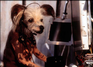 aidan (@mvprielipp) on Twitter photo 