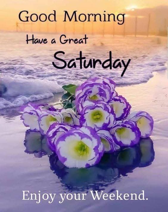 Assalam-0-alaikum 🌼🌼 

Good morning 💞💞
Happy Saturday 😌