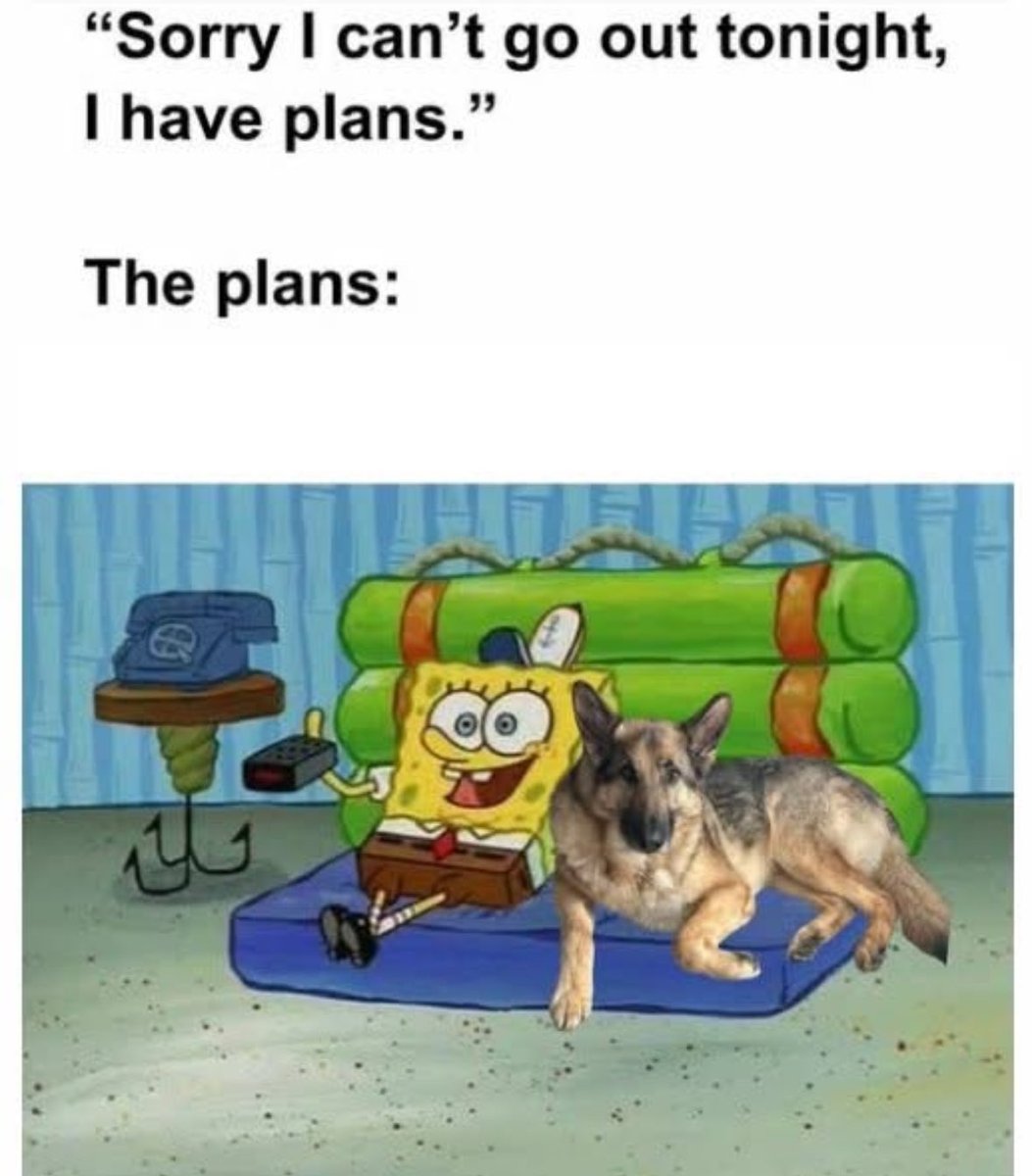 RespectfulMemes's tweet photo. https://t.co/fZ2b0SMXbS
