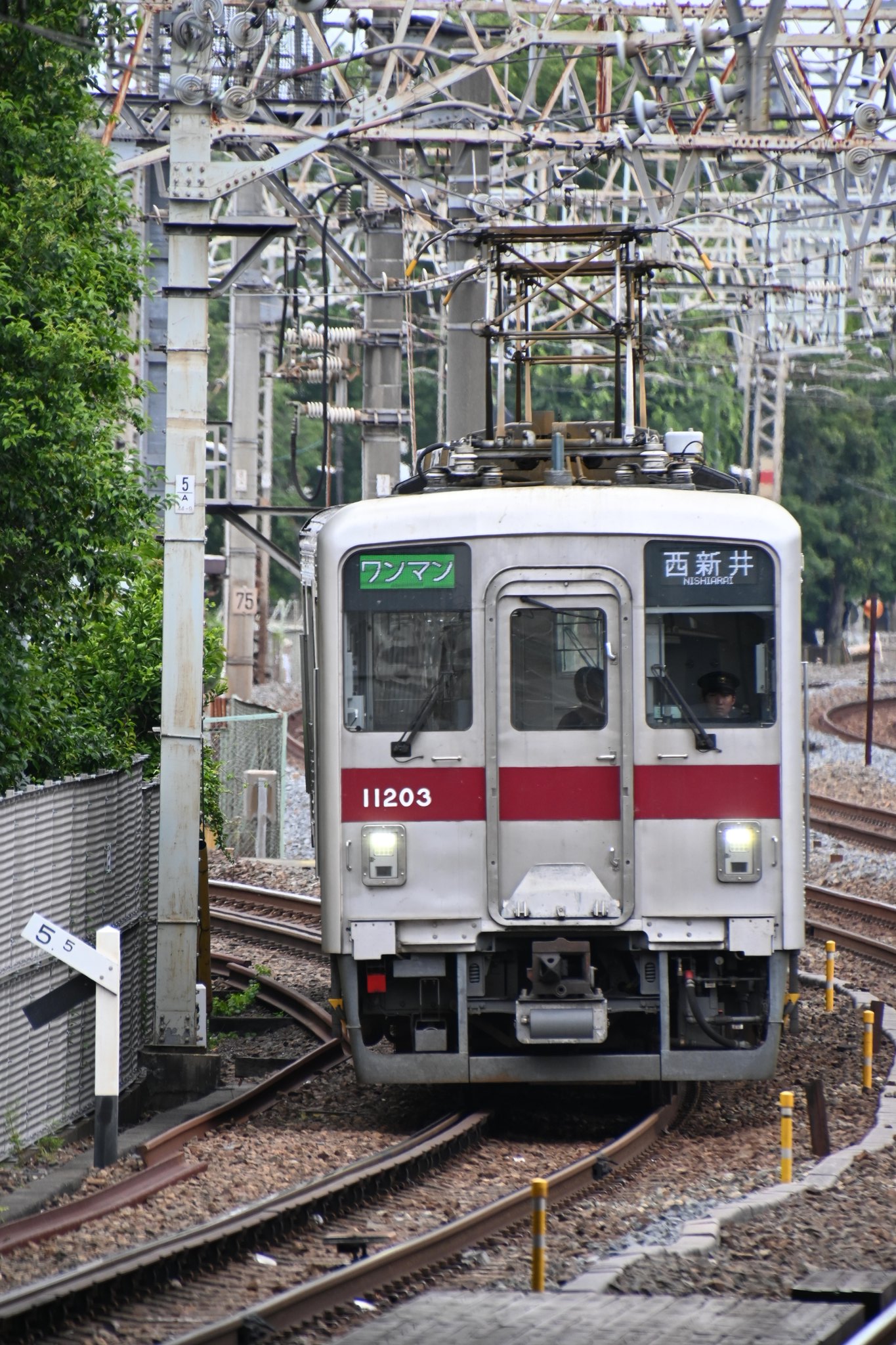 とーふ on X: 