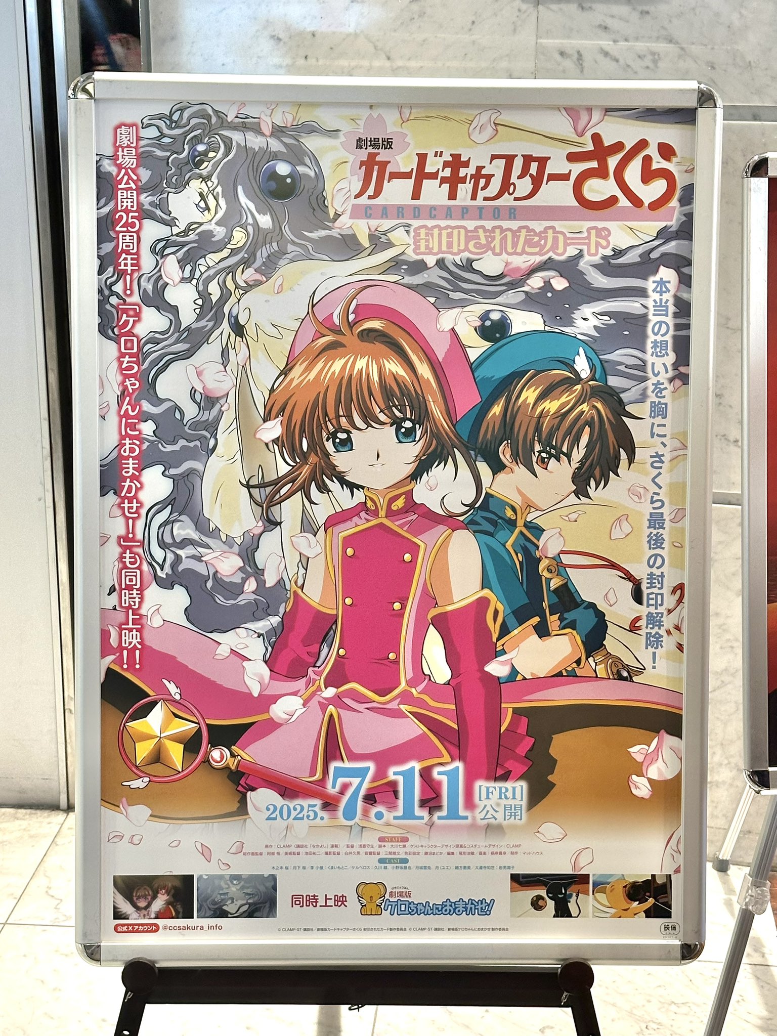さくら Card of the day (191224) : FreedomduoのCardGame<D>