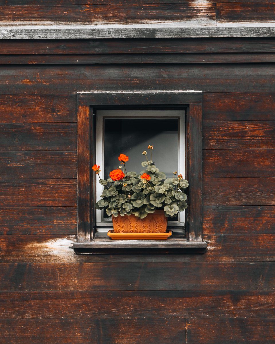Windows allow us to look out into the wide world 👁Be it the view of the glacier or out over the vast pastures and mountains, from terraces, the hotel window or out of the gondola🚡
What is your favorite view in Grindelwald? ⛰️

📷 instagram.com/cunodebruin/