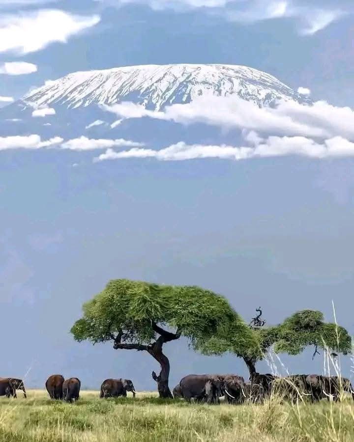 Good Morning  Everyone 🙏 🌄.