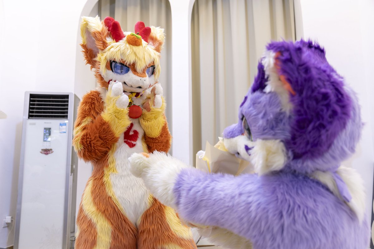 This is for you！🥰🥰🥰昨天的图今天发

🍅：TNT
📷：<a href="/YiLong39420821/">毛绒绒的逸龙</a>