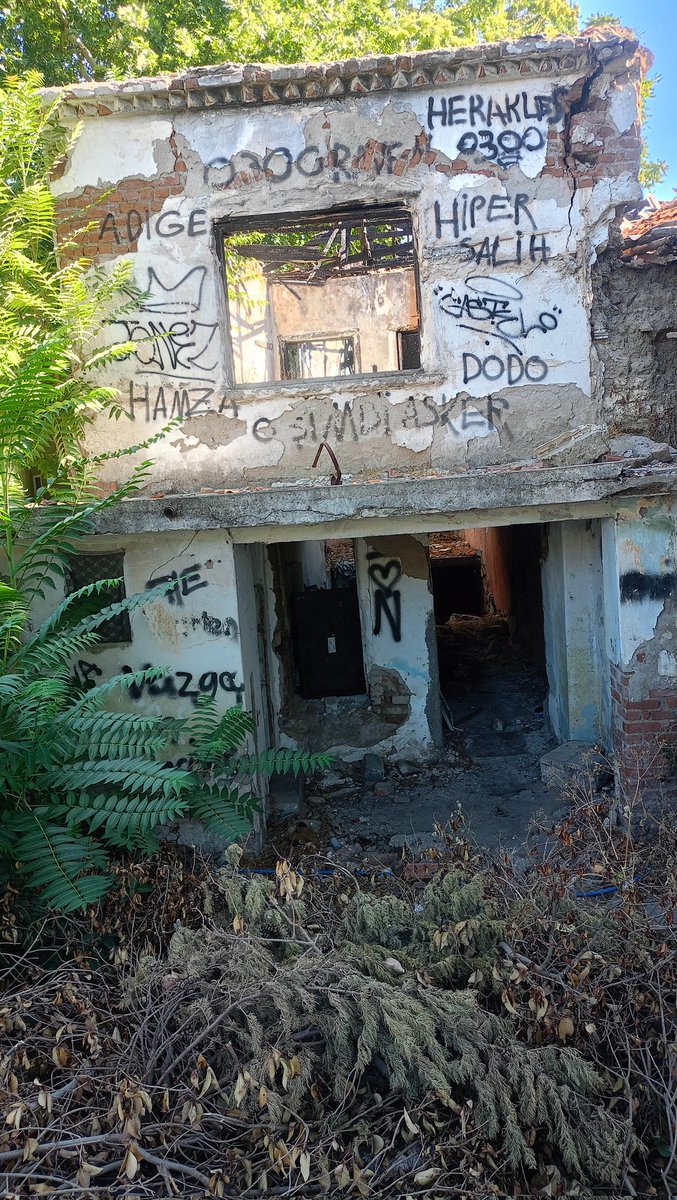 Manisa'ya dair... (@manisafoto) on Twitter photo 