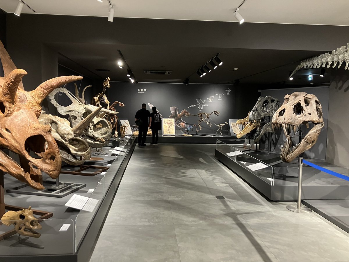 OUSDinosaur's tweet image. 🦖🦕 たんば恐竜博物館が進化🦕🦖

恐竜学科の實吉先生も展示に携わった「たんば恐竜博物館」が、ついにリニューアルオープン✨本日の式典後、多くの方が新しい展示を楽しみに来場されていました。秋には、1年生の実習でこの博物館を訪れる予定！実習で見学できるのが楽しみですね。

@Tambaryu0807