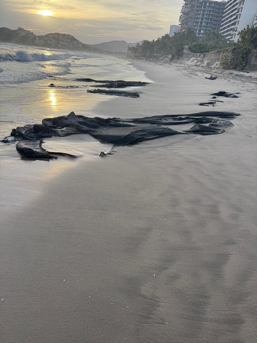 ETorresRivera1's tweet image. En la Playa de Diamante en #Acapulco aún se observan escombros que quedaron del #HuracánOTIS y del ciclón tropical #John que pudieran retirarse con un camión materialista y una brigada, en un solo día, y se lograría un mejor aspecto para el turismo y la seguridad de los…