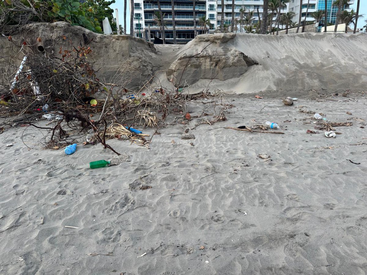 ETorresRivera1's tweet image. En la Playa de Diamante en #Acapulco aún se observan escombros que quedaron del #HuracánOTIS y del ciclón tropical #John que pudieran retirarse con un camión materialista y una brigada, en un solo día, y se lograría un mejor aspecto para el turismo y la seguridad de los…