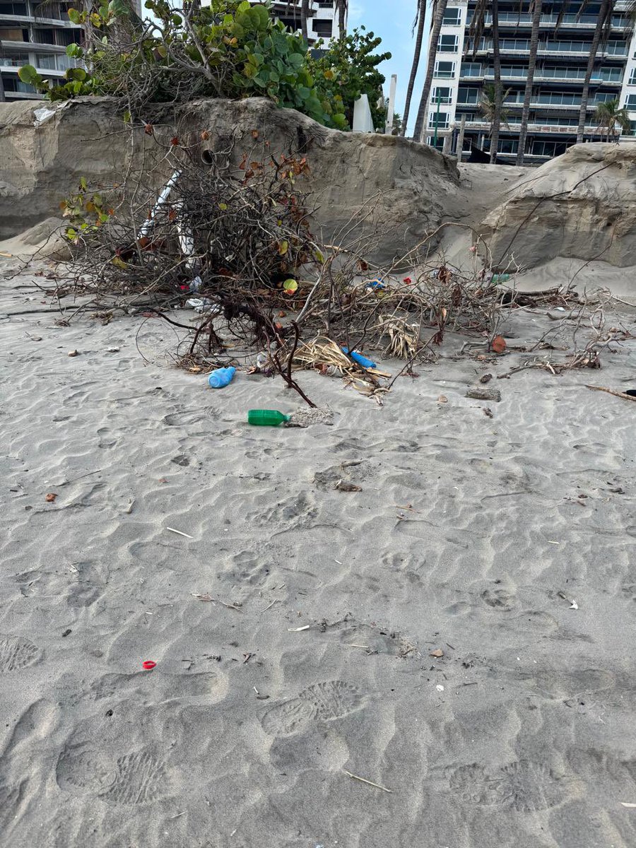 ETorresRivera1's tweet image. En la Playa de Diamante en #Acapulco aún se observan escombros que quedaron del #HuracánOTIS y del ciclón tropical #John que pudieran retirarse con un camión materialista y una brigada, en un solo día, y se lograría un mejor aspecto para el turismo y la seguridad de los…