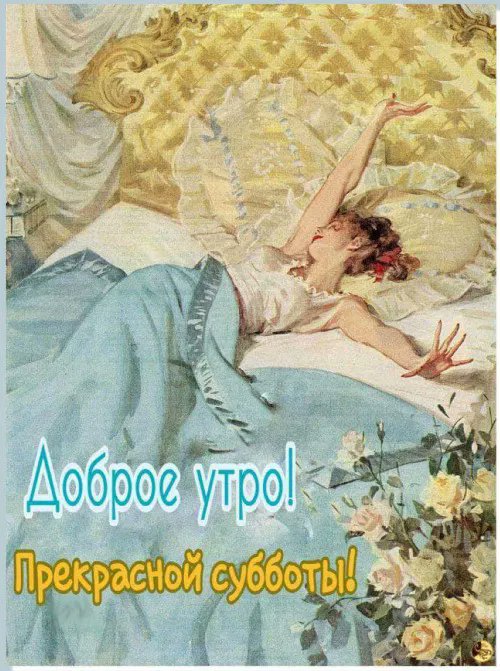 Надежда Рязанова (@16razanova) on Twitter photo 