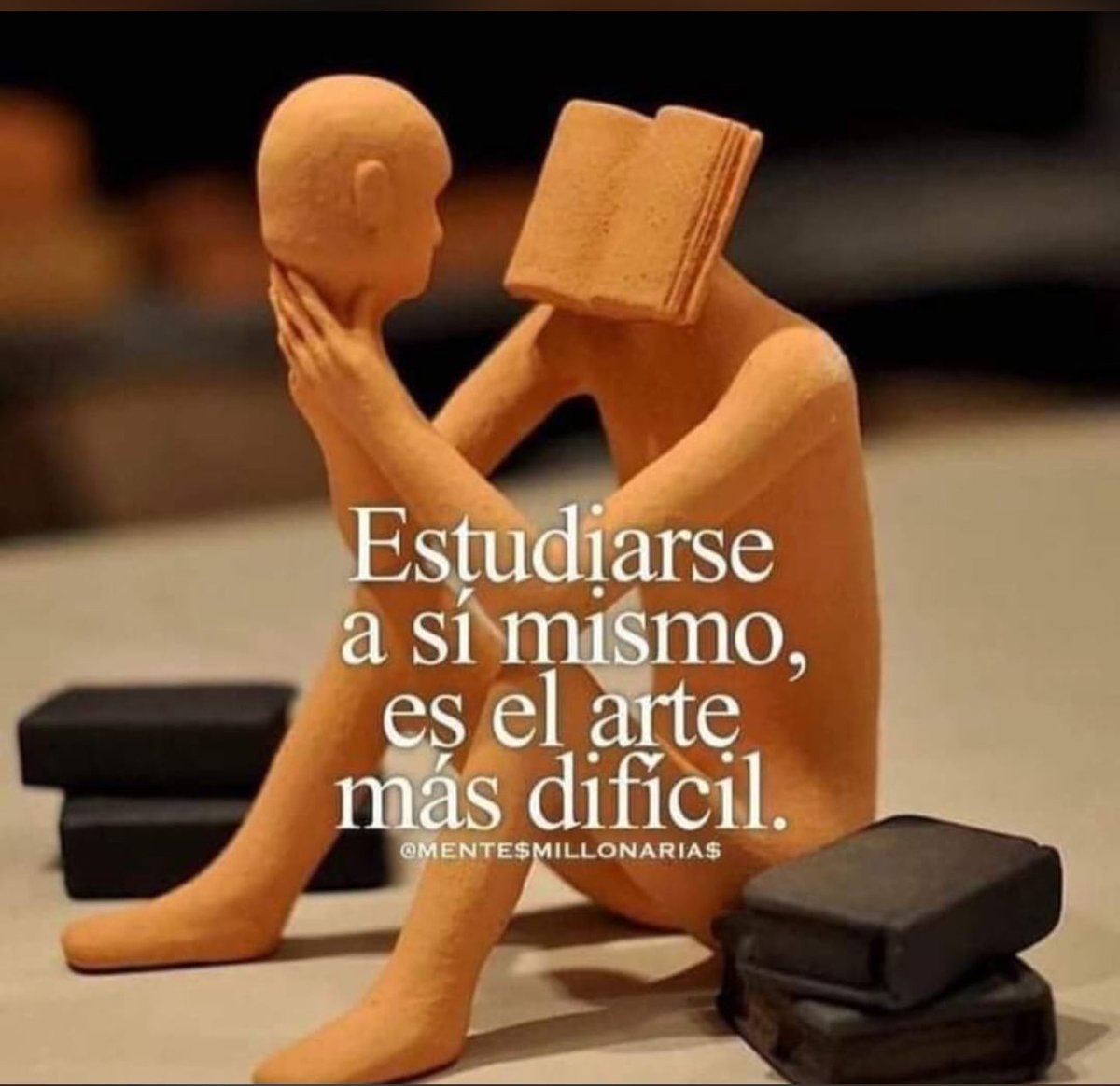 Reflexión e serio. Coherencia.