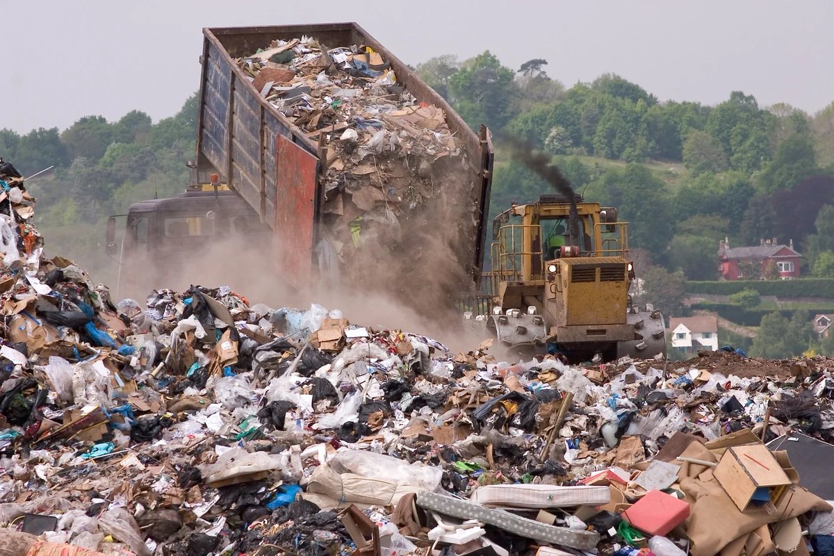 As long as this planet continues to be run as a for-profit business rather than a self-regulating, all-inclusive socialist commune of 10 million species, everything on Earth will end up in a bonfire.
open.substack.com/pub/georgetsak…