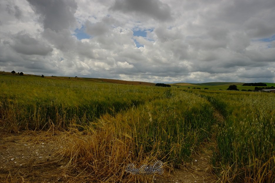 Lovely walk along the white horse trail last Sunday #landscapes #landscapephotography