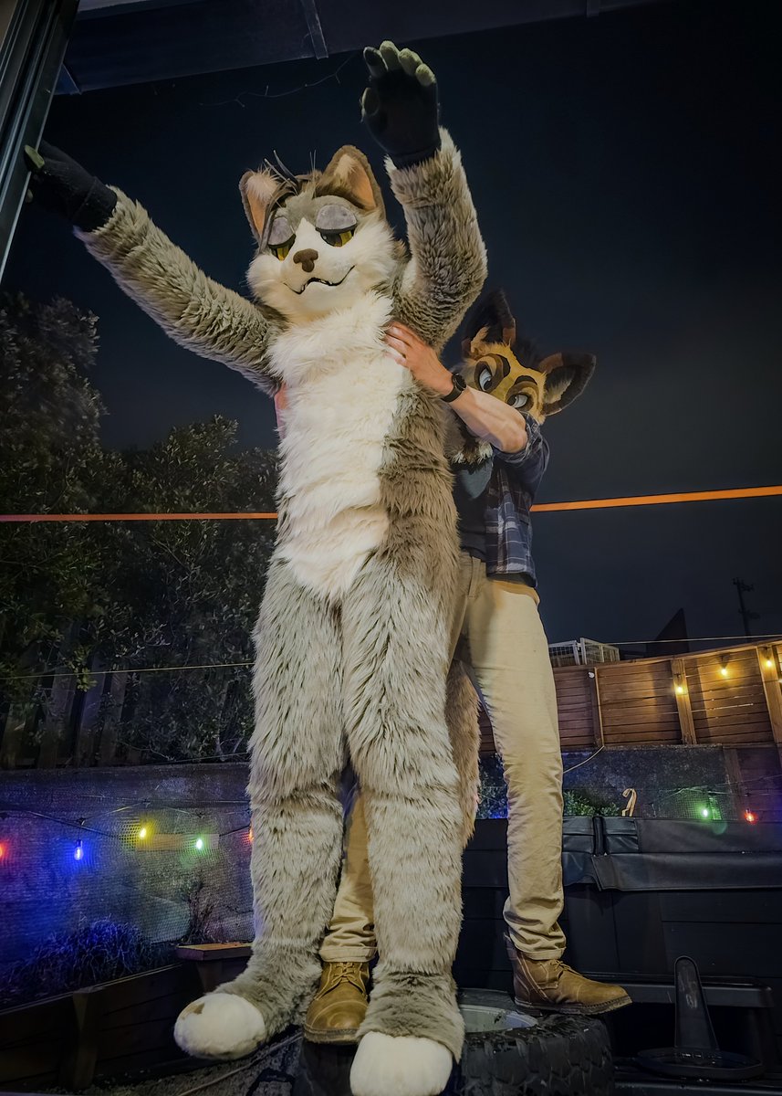 ~ <a href="/Keebzyote/">Keeba</a> wanted to see how long this cat is

📸 <a href="/AyVex_/">Vex🐾</a>