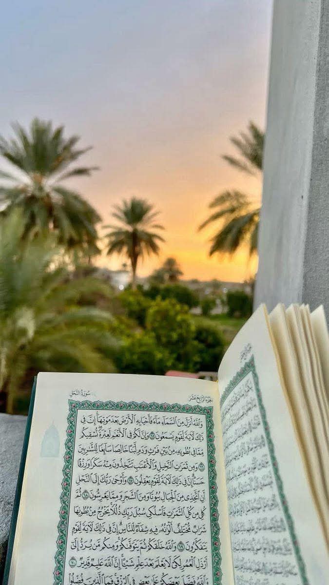 الوقت المناسب لحفظ القرآن⁩ هو الصباح، ثمَّ تعيد ما حفظته بعد العصر، ثمَّ تستذكره صباح اليوم التالي، لتبني عليه الحفظ الجديد..

• أمَّا النسيان فدواؤه:
١-كثرة التلاوة.
٢-واللجوء إلى الله تعالى بالدعاء والاستعانة به.
٣-والإعراض عن كثرة الشواغل.