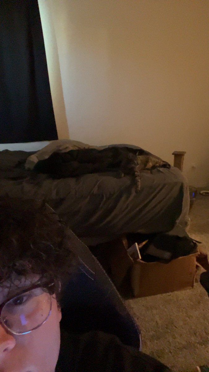 2-0 cat buff