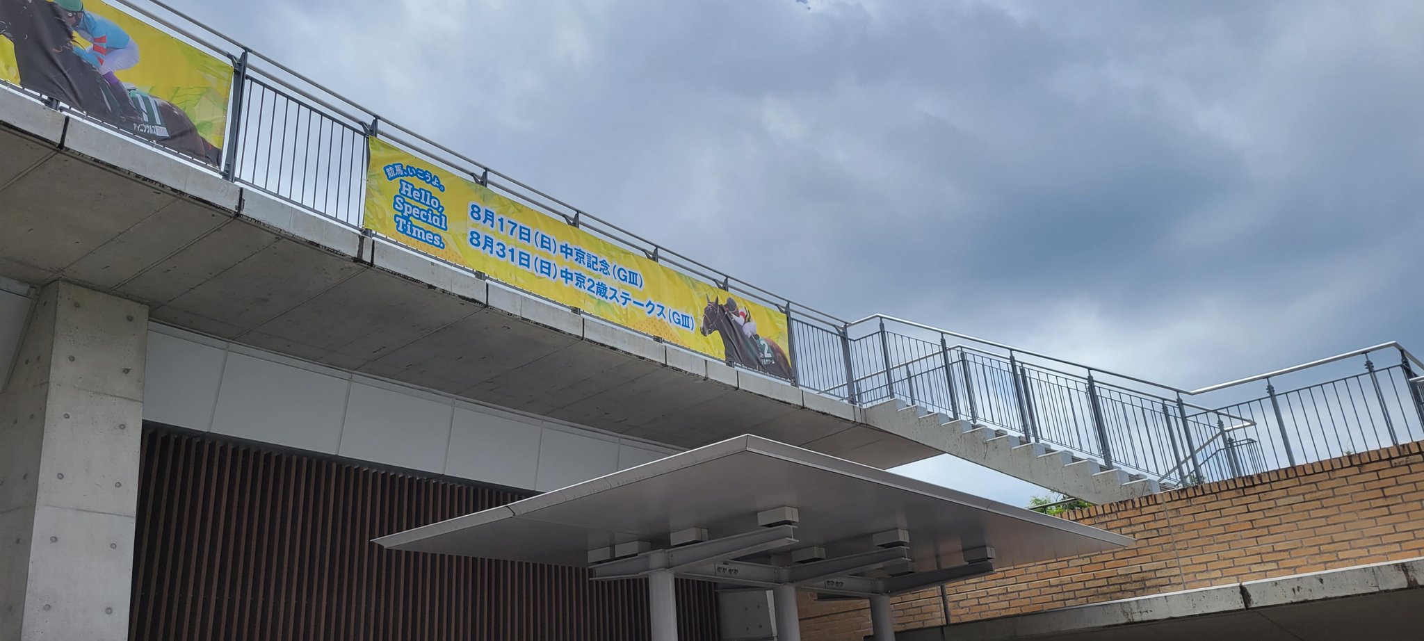 【未使用品】中京競馬場 FANTASTICS Night サイリウム 新着商品 中京競馬場 ミュージシャン サイリウム Night