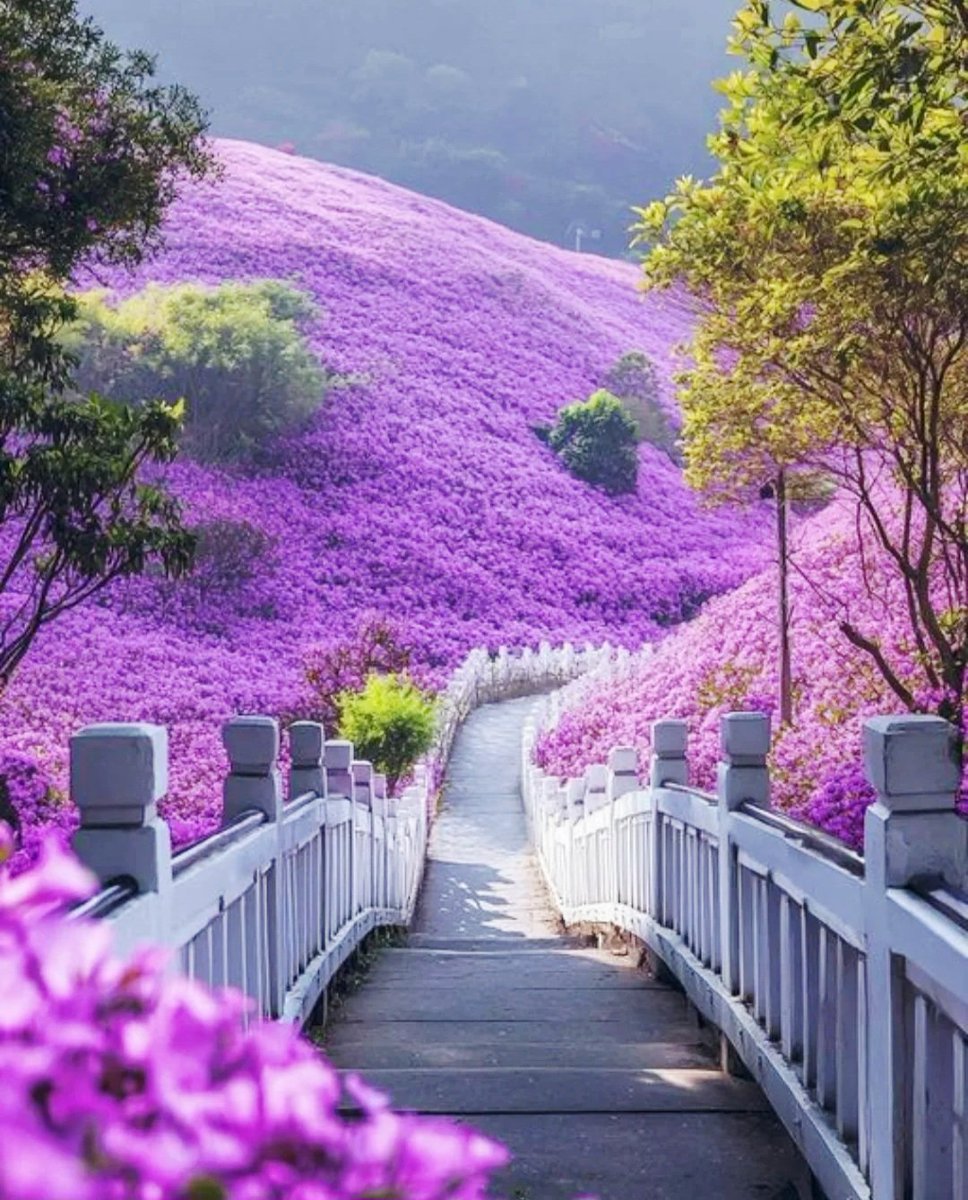 Good Morning My Sweet Friends!☀️❤️