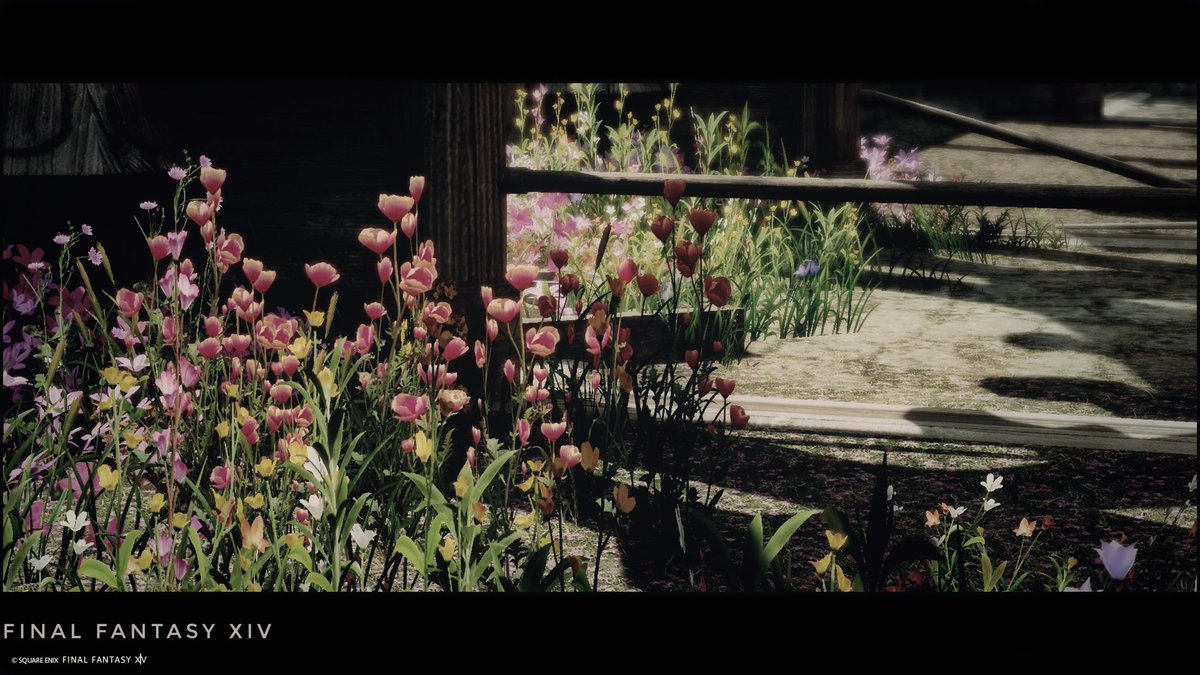 NtatuA's tweet image. FF14。イグ・メル。 #FF14 #FF14風景 #ffxivsnaps
