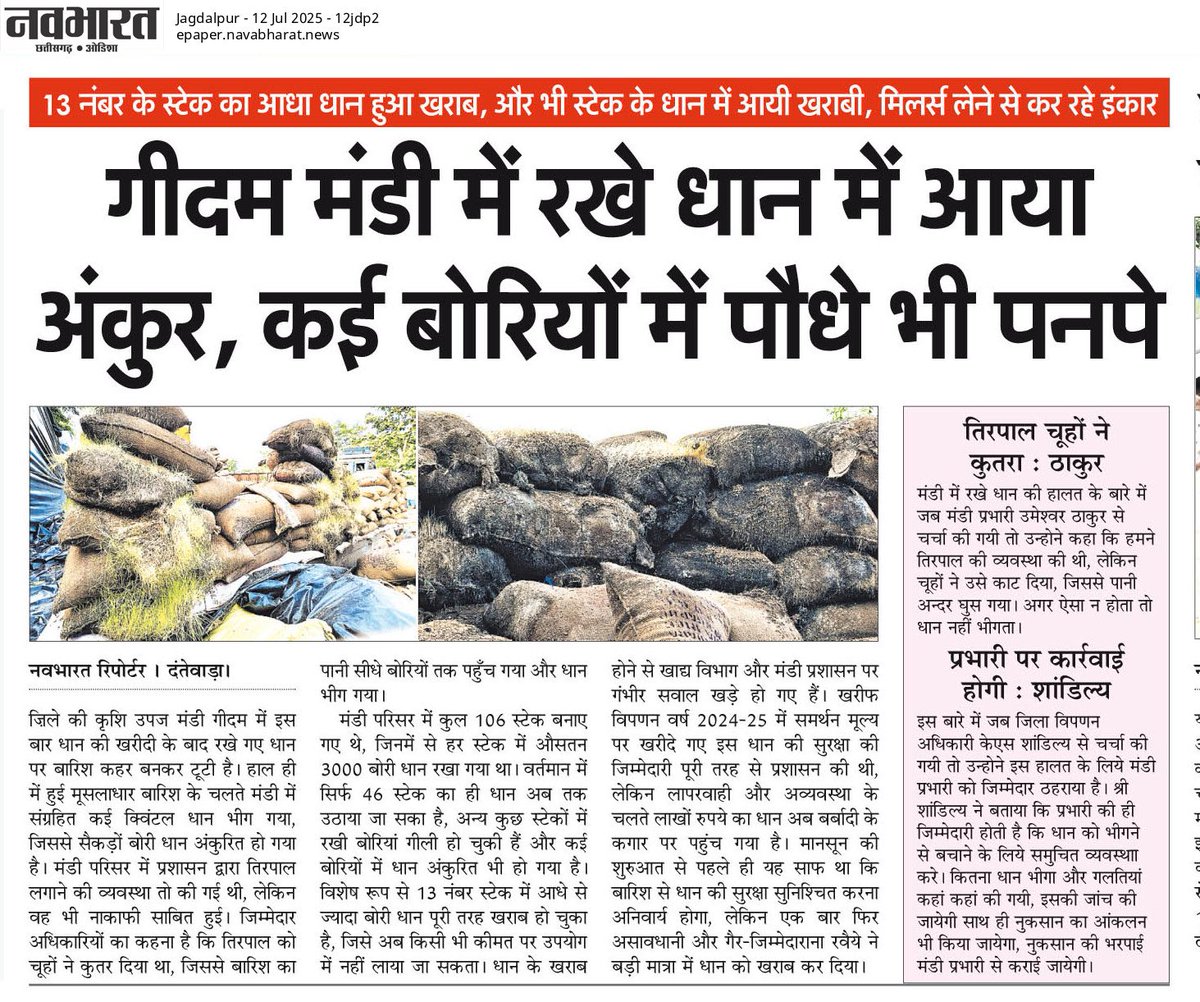 abhishekbh8504's tweet image. दंतेवाड़ा जिले के #गीदम_मंडी में रखे #धान में #आया_अंकुर, कई #बोरियों में #पौधे भी पनपे

#सड़ रहा #समर्थन_मूल्य पर खरीदा गया #लाखों का #धान

13 नम्बर स्टेक की सैकडों बोरियां हुई बरबाद, आज भी हज़ारों क्विंटल धान का नहीं हुआ ऊठाव 

डीएमओ अब प्रभारी पर फोड़ रहे ठीकरा
