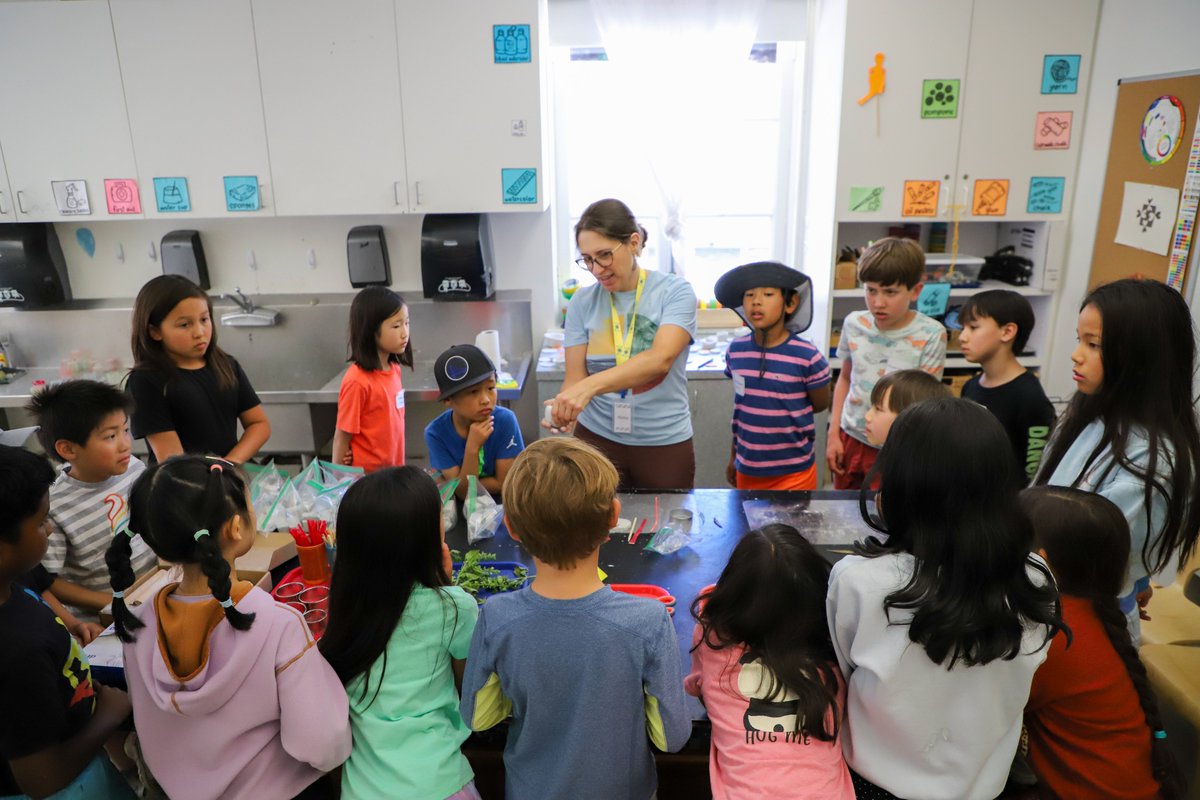 nuevaschool's tweet photo. #SeenAtNueva: Nueva Summer in full swing, with a Week 3 theme of Design Thinking! https://t.co/DLaZd8oScP
