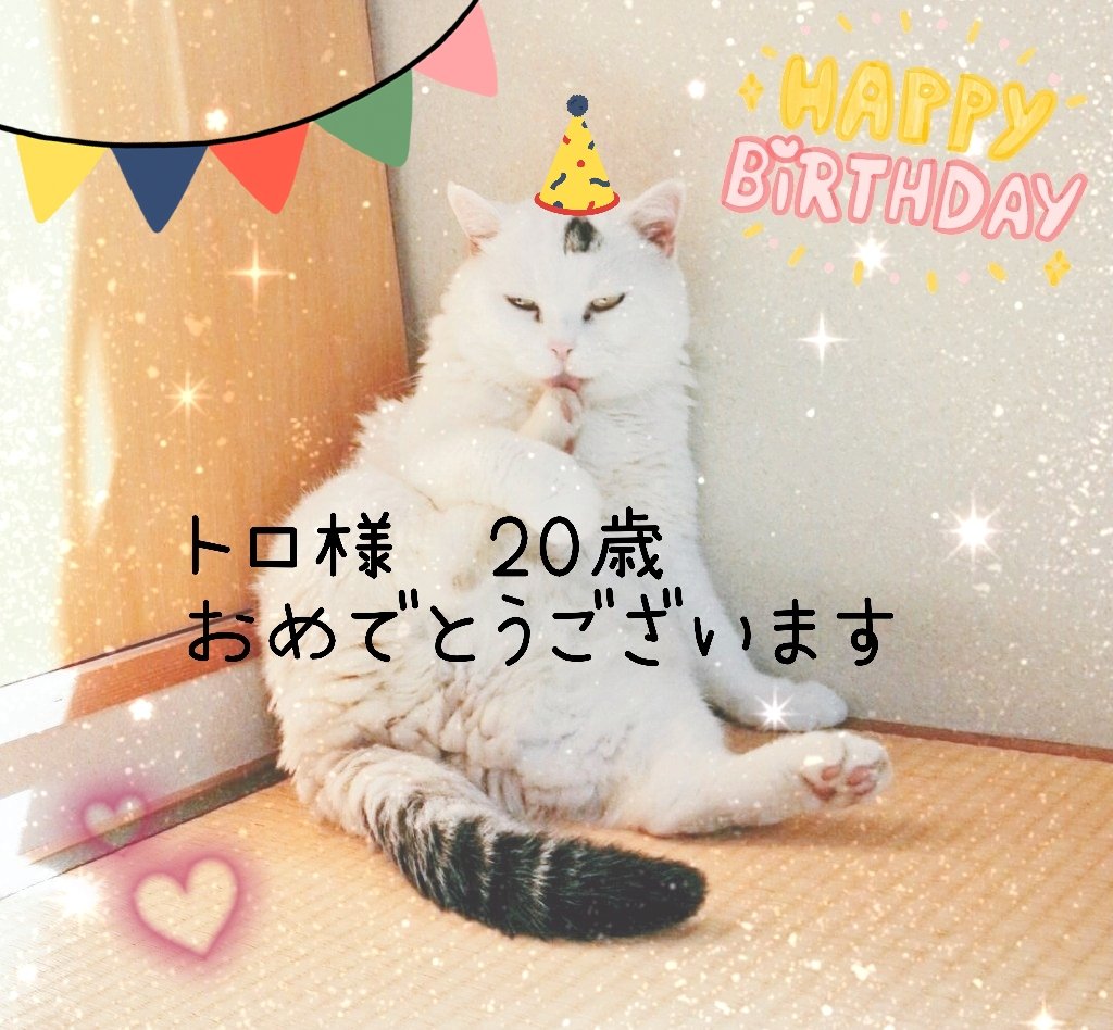 幸斗まま様♡ありがとうございます♡おまとめ♡ 依 on X: 