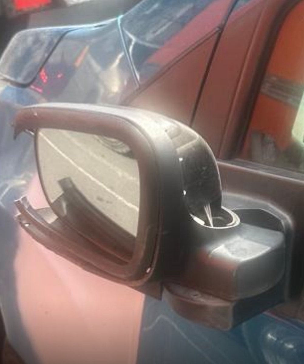 Morena Mía tweet media