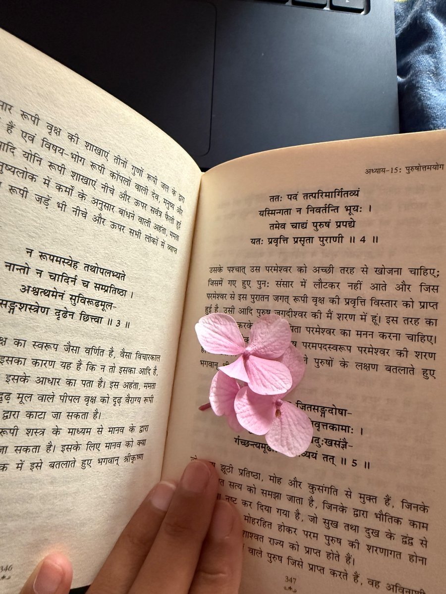 नम्रता शर्मा tweet media