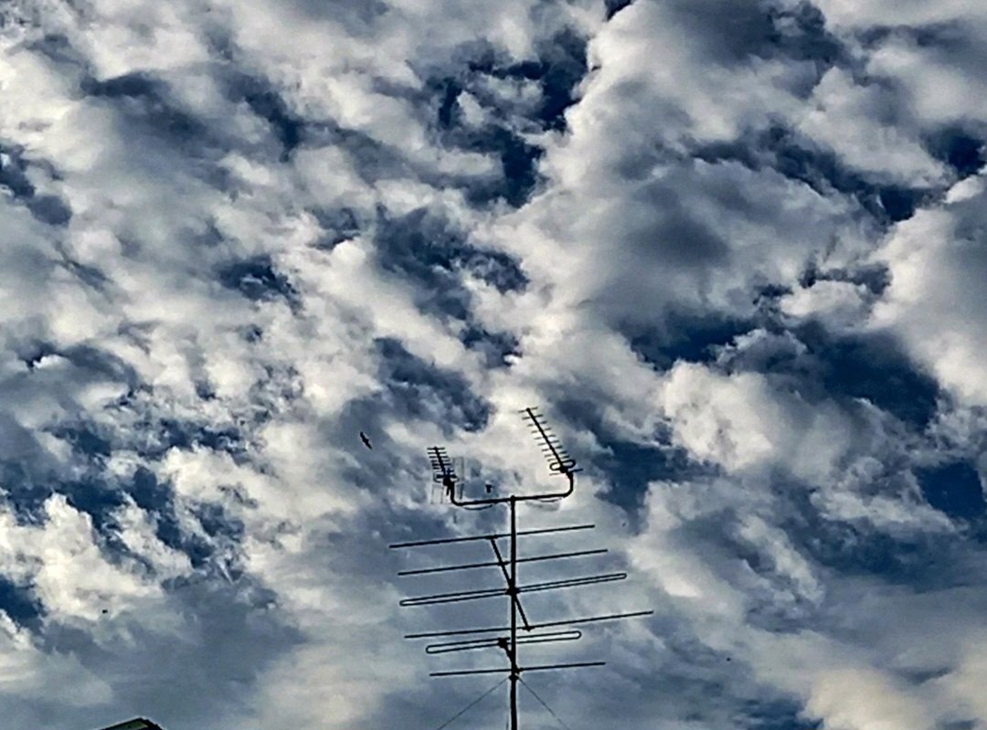 <a href="/Anthony78644696/">Anthony</a> 
<a href="/DavidMariposa1/">David</a> 
Happy weekend 🙂