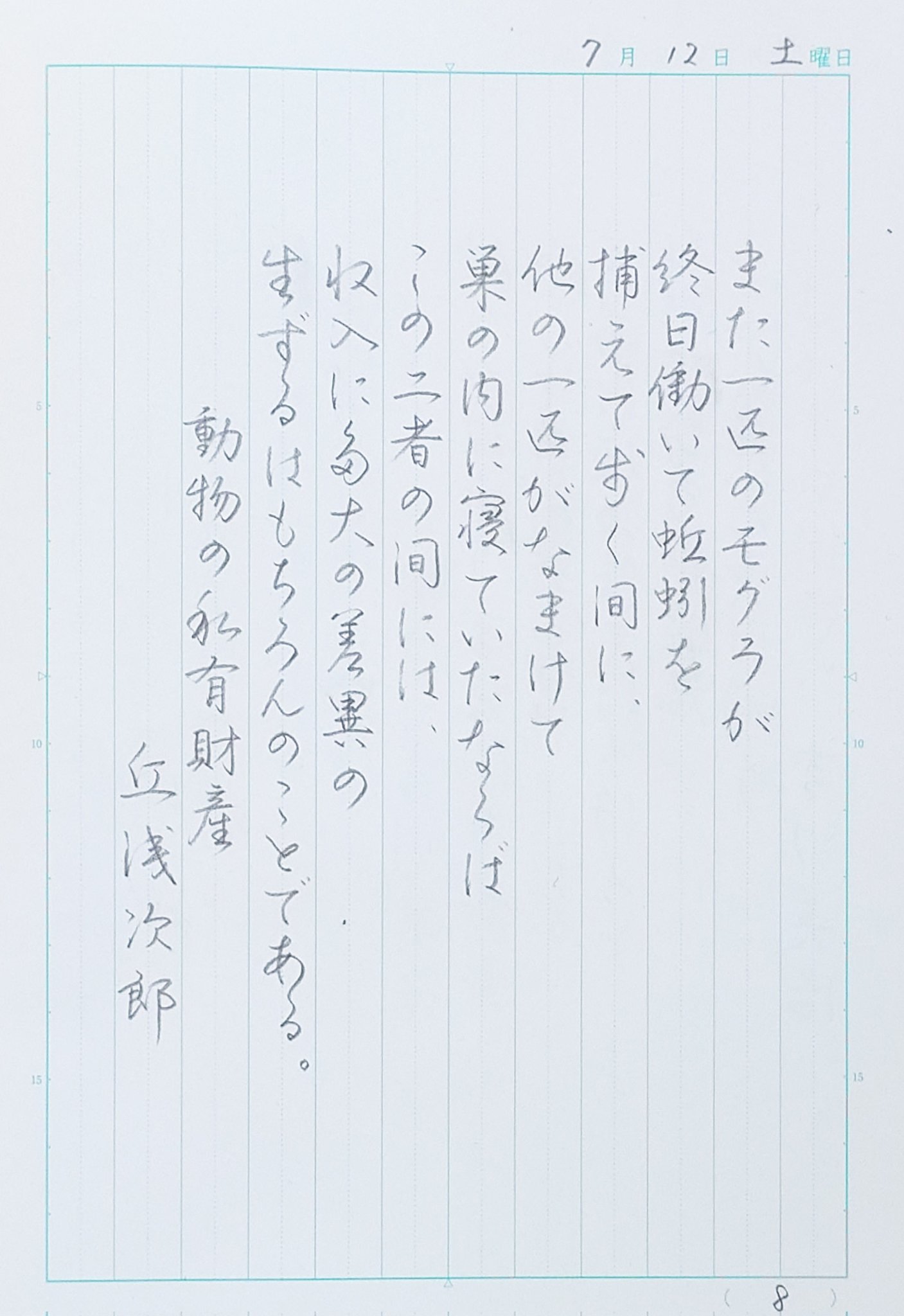 ちせさん確認ページ‪⸜(*ˊᵕˋ* )⸝‬♡
