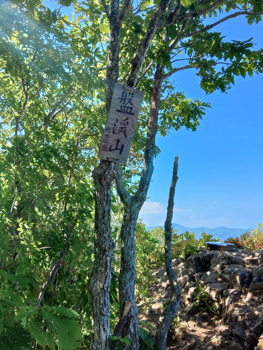 tamon008's tweet photo. 久々の連休～
初夏の盤渓山は、初めてかも？
いつも冬季に来てるからなぁ～

#北海道低山 https://t.co/lz9wHG7MVa
