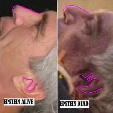 🚬 Idiot Savant tweet media