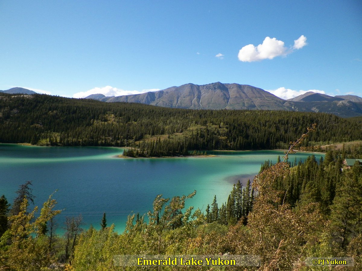 Greetings Tribe! Tomorrow I'll be undergoing surgery to have four pins placed in my jaw. Appreciate any good thoughts, juju, prayers for positive result. Thank you - Luv from PJ &amp; Doc 🙋🏽‍♀️🐾💕 #mytribe #prayers