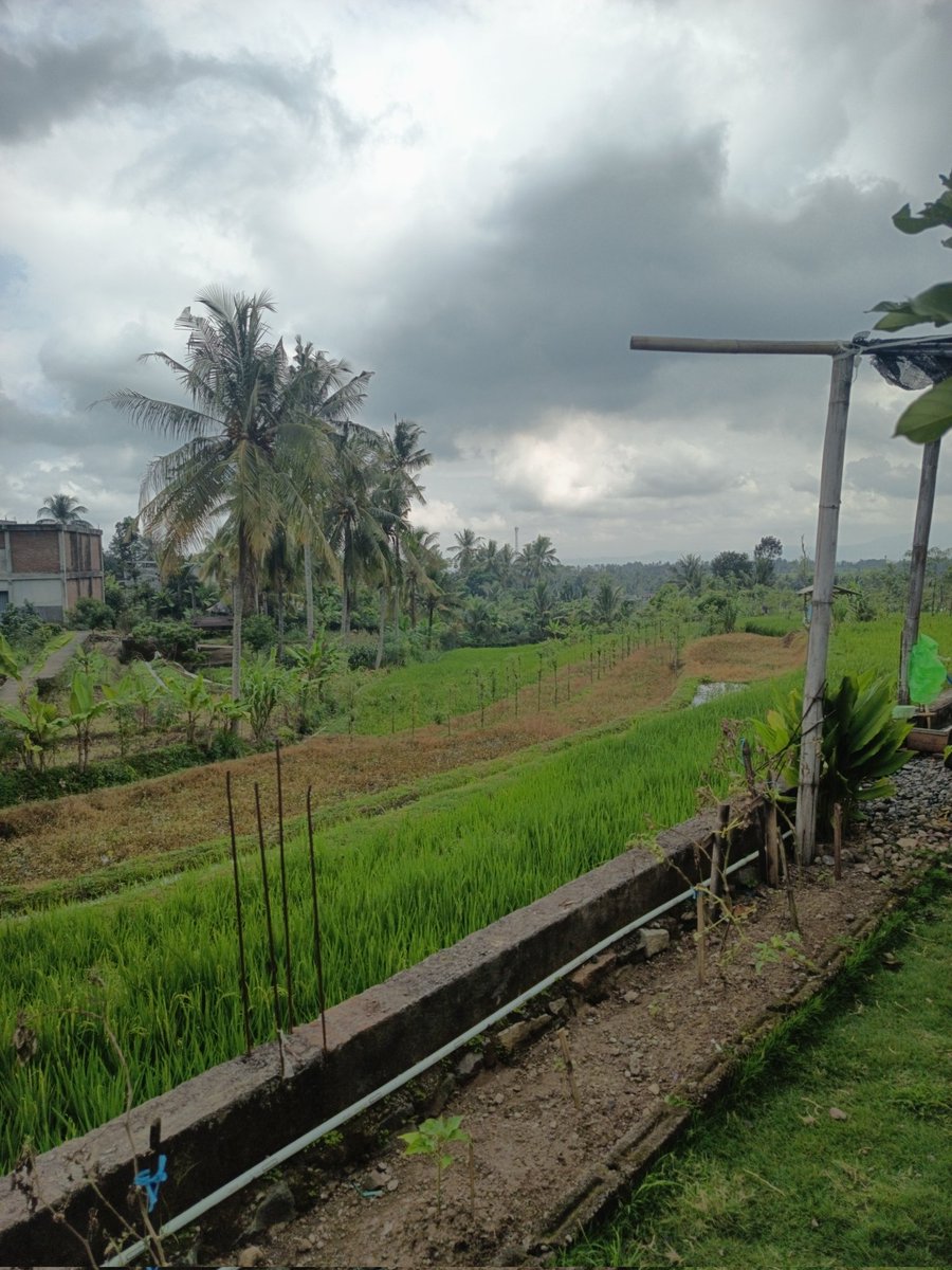 Ronny1712's tweet photo. Pemandangan biasa aja https://t.co/2ZurjSkRLD