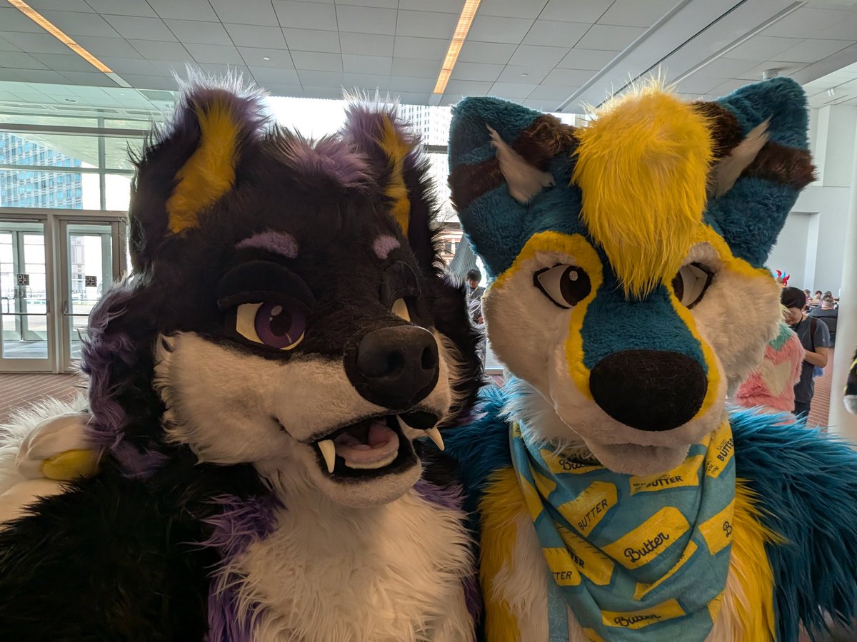 Photos with friends at #AC2025 /  #anthrocon2025! Had an amazing time even with how busy and hectic it was! More photos featuring more friends to come soon!

#FursuitFriday