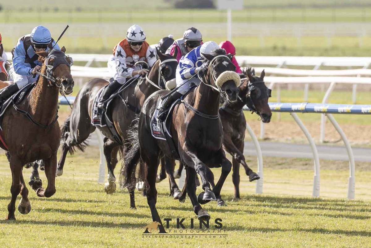 SA Racehorse Owners (SAROA) (@s_saroa) on Twitter photo Harley'n'rose and Alana Livesey were reunited for the win. The Richards/Moyle trained Holler gelding is part owned by Grant and Sue Blight; John Atkinson; Dennis Gardiner; Peta Southern-Ninnis and Paul Ninnis and Jacqui Heaney. Harley'n'rose and Alana Livesey were reunited for the win. The Richards/Moyle trained Holler gelding is part owned by Grant and Sue Blight; John Atkinson; Dennis Gardiner; Peta Southern-Ninnis and Paul Ninnis and Jacqui Heaney.