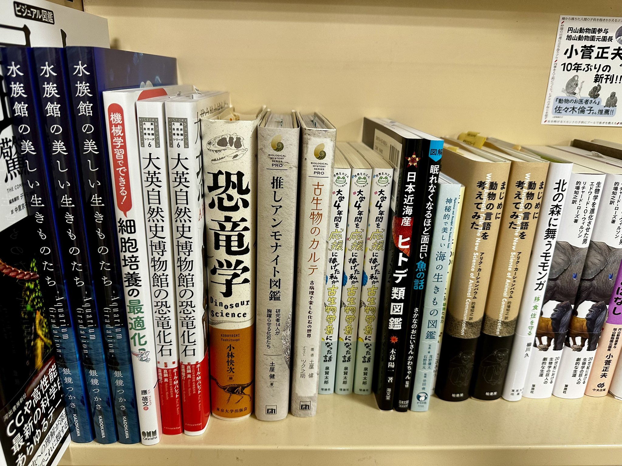 図鑑　14冊まとめ売り 新版〕岩石・鉱物・化石 DVDつき | 書籍 | 小学館