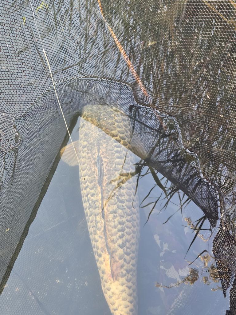 Good morning 👋 ✌️