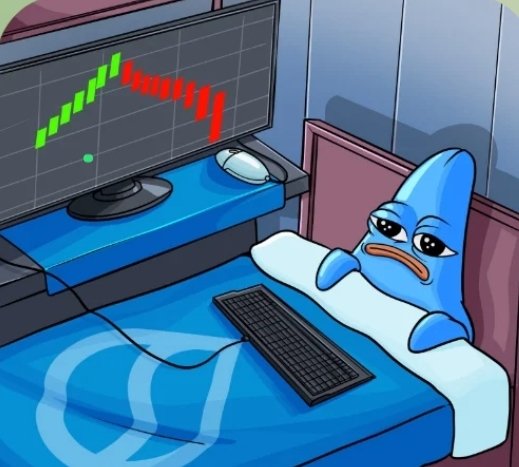 Sui Starfish tweet media