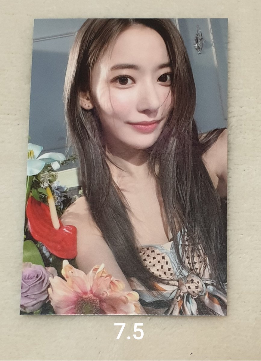 pborapbora's tweet photo. 르세라핌 LE SSERAFIM 포카 포토카드 POCA PHOTOCARD 사쿠라 SAKURA 
첫 데뷔 쇼케이스  debut showcase

데뷔 쇼케이스 포카  5.0

무료배송 https://t.co/FiowRjhJy9
