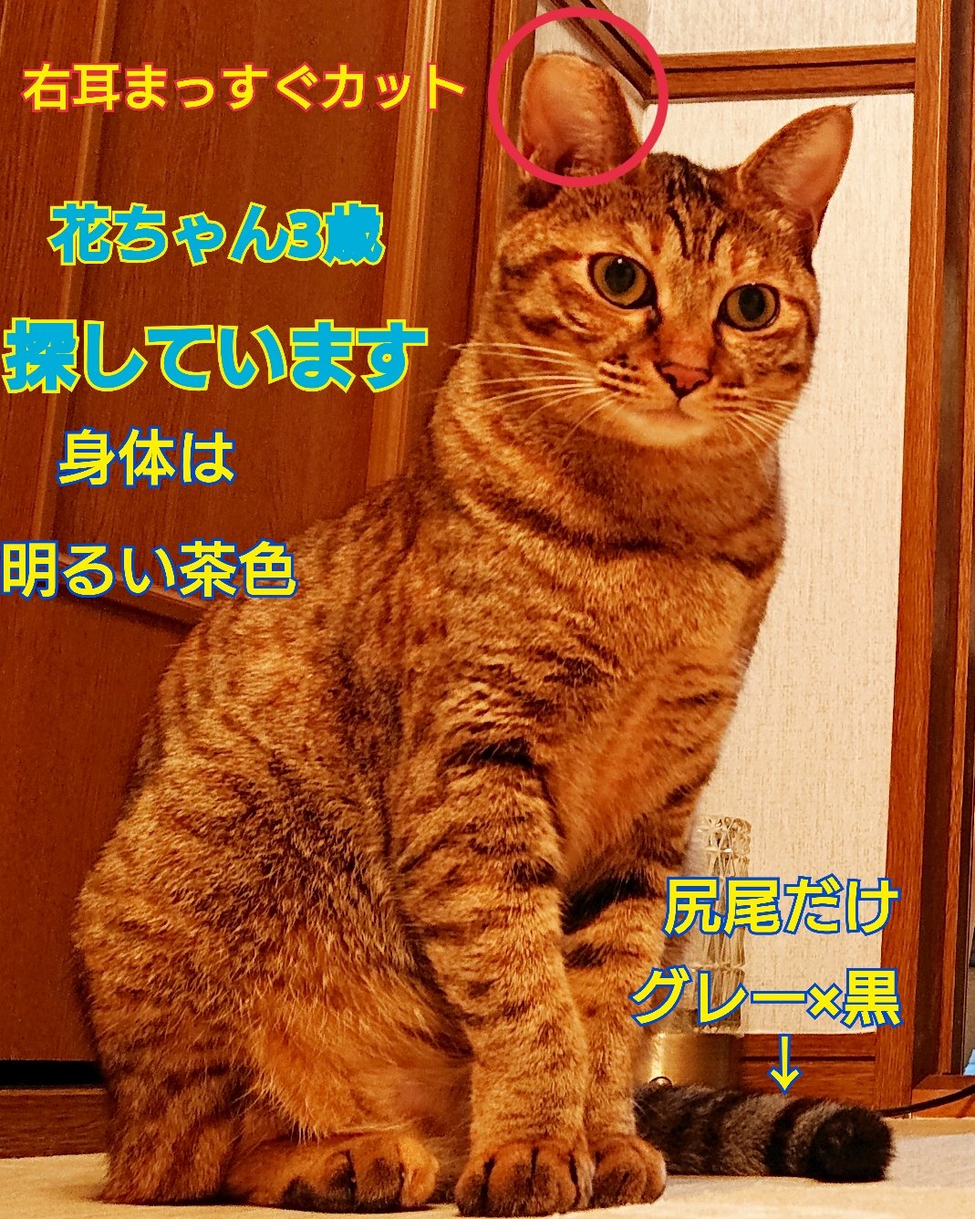 えみ on X: 
